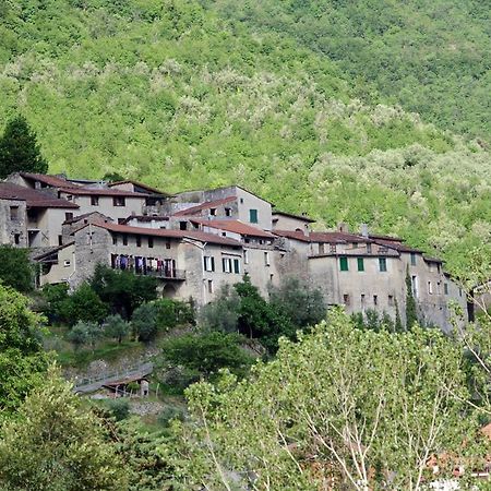 Agriturismo Mulino Del Castello Nasino Exterior photo